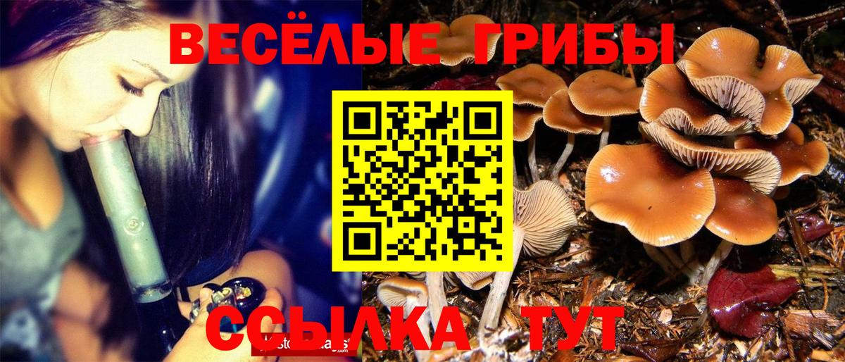 Вейп ТГК Орехово-Зуево