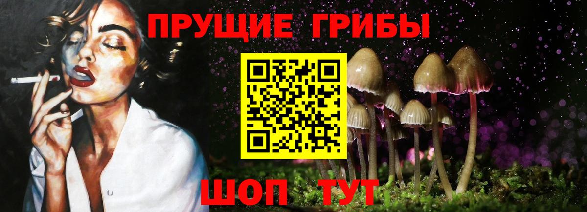Псилоцибиновые грибы мицелий  Вход с VPN  Псилоцибиновые грибы Cubensis  Орехово-Зуево 